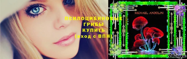 ГАЛЛЮЦИНОГЕННЫЕ ГРИБЫ Белоозёрский