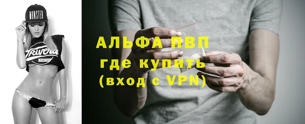 дмт Белокуриха