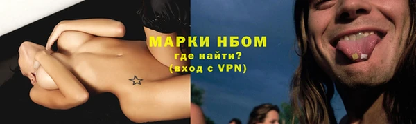 дмт Белокуриха