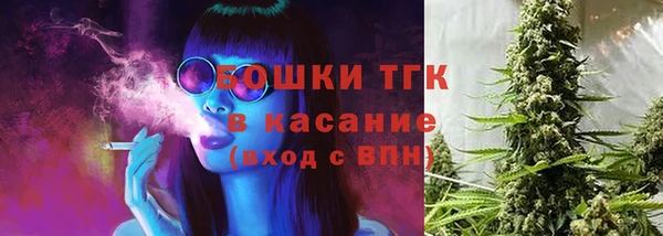 дмт Белокуриха