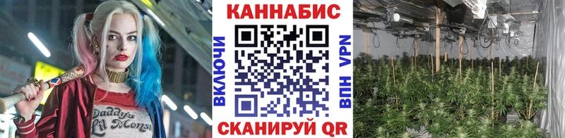 Каннабис OG Kush  где найти   Буинск 
